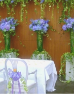 Bluebird wedding 1